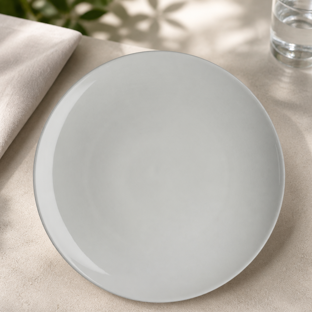 Commercial Coupe Plates 279mm Porcelain 12 Pack