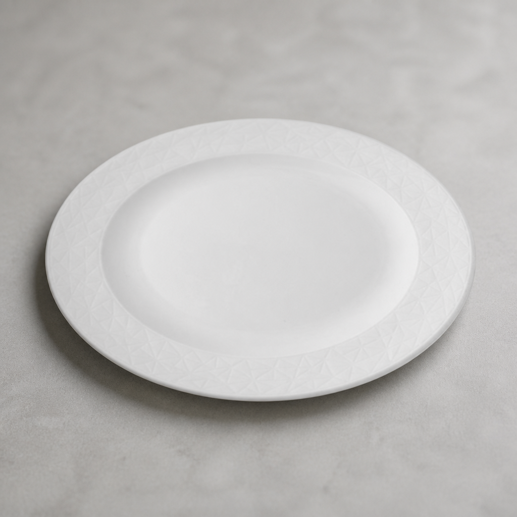 Commercial Abstract Plates 228mm Vitrified Fine China 12 Pack