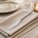 Commercial Stainless Steel Table Knives 12 Pack Set