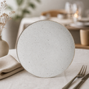 Commercial Wabi Sabi Coupe Plates 285mm Porcelain 6 Pack