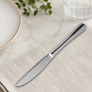 Commercial Table Knives 230mm 12 Pack Stainless Steel