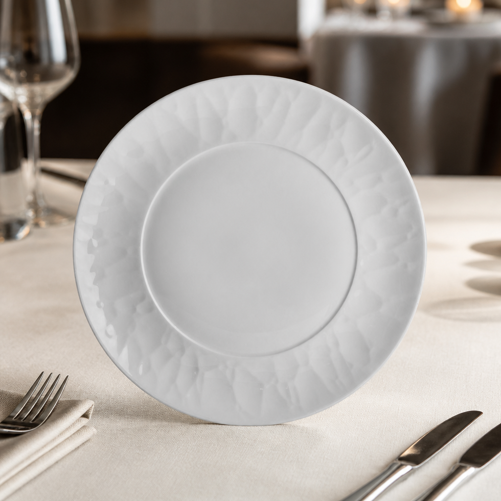 Commercial Porcelain Plates 241mm 24 Pack Dishwasher Safe