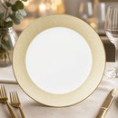 Commercial Diamond Coupe Plates 300mm Pack of 6