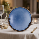 Commercial Indigo Coupe Bowls 184mm - 12 Pack Vitrified Ceramic