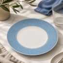 Commercial Deep Coupe Plates Ocean Blue 281mm 12 Pack
