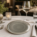 Commercial Stonecast Round Coupe Plates 200mm Grey 12 Pack