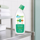 Eco-Friendly Toilet Cleaner 750ml Pine and Mint Scent