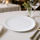 Commercial Oval Porcelain Dishes 280mm for Fine Dining 12 Pack