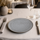 Commercial Dinner Plates 270mm Charcoal Dusk Porcelain 4 Pack