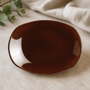 Commercial Porcelain Plates 255mm Mocha Spice 24 Pack