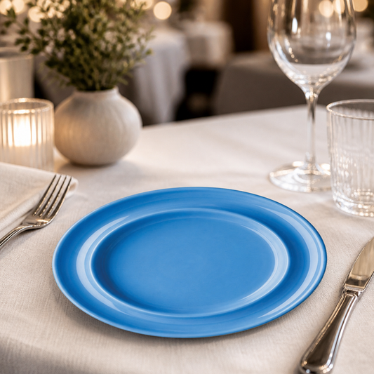 Commercial Raised Rim Side Plates 203mm Blue - 4 Pack