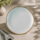 Commercial Coupe Plate Duck Egg 219mm Super Vitrified Ceramic