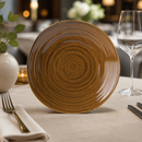 Commercial Stoneware Starter Plates 210mm 6 Pack