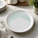Commercial Walled Plates 210mm Aquamarine Ceramic 6 Pack