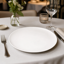 Commercial Deep Coupe Plates 281mm - 12 Pack Catering Supplies