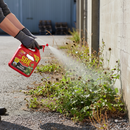 Premium Ready-to-Use Brushwood Weed Killer - 4 Litre Quantity for Effective Control of Woody Weeds and Tree Stumps