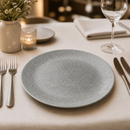 Commercial Coupe Plates 286mm Raku Glazed Porcelain 12 Pack