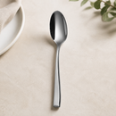 Commercial Dessert Spoon 17.8cm Stainless Steel 12 Pack