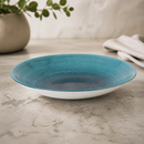Commercial Stonecast Deep Coupe Plates 225mm - 12 Pack