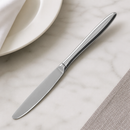 Commercial Dessert Knife 12 Pack 200mm Stainless Steel Cutlery