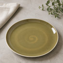 Commercial Coupe Plates 252.5mm Olive 12 Pack for Catering