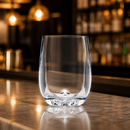 Commercial Shatterproof Wine Glasses 245ml 12 Pack