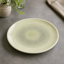Commercial Coupe Plate 275mm Harvest Grain Organic 12 Pack