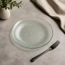 Commercial Clear Glass Plates 225mm Organic Shape 6 Pack