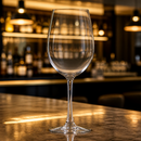Commercial Wine Glasses 580ml - 24 Pack Durable Design