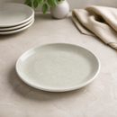 Commercial Coupe Plates 252.5mm Taupe 12 Pack Crackle Finish