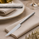 Commercial Stainless Steel Steak Knives Set of 12 Pieces