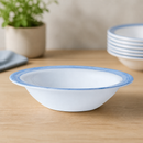 Commercial Brush Rim Bowls 120mm Pack of 36 Opal White