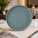 Commercial Stack Plates Blue 202.5mm Dishwasher Safe 12 Pack