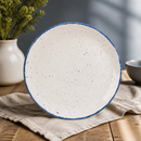 Commercial Coupe Plates Indigo Blue 288mm - 12 Pack