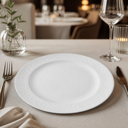 Set of 12 Commercial Abstract Plates 268mm for dining