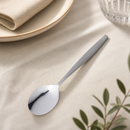 Commercial Dessert Spoons 12 Pack 172mm Stainless Steel