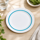Commercial Deep Well Plates 190mm Blue Rim 12 Pack