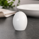 Commercial Salt Shakers 12 Pack for Professional Catering