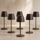 Cordless Table Lamp 300mm Cocoa Finish USB Rechargeable 6 Pack