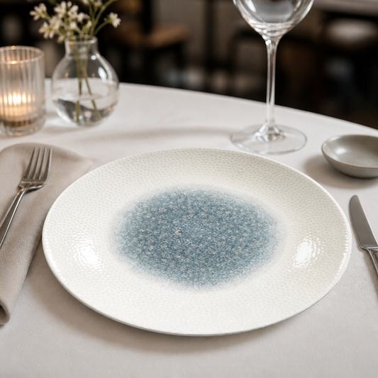 Commercial Deep Coupe Plates Topaz Blue 255mm 12 Pack