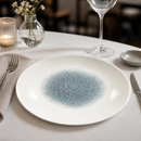Commercial Deep Coupe Plates Topaz Blue 255mm 12 Pack
