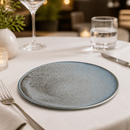 Commercial Porcelain Coupe Plates 230mm Blue 6 Pack