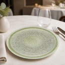 Commercial Walled Plate 210mm Green Speckled 6 Pack