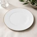 Commercial Fizz Plates 220mm - 12 Pack Elegant Bone China