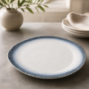 Commercial Mottled Blue Rim Plates 255mm - 12 Pack