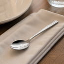 Commercial Stainless Steel Teaspoons Set of 12 for Catering