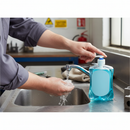 Premium Antibacterial Liquid Soap 500ML - Effective Germ Protection and Skin Care