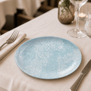 Commercial Aquamarine Coupe Plates 217mm - 12 Pack