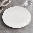 Commercial Gourmet Coupe Plates 280mm for Hospitality Use