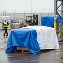 Premium General Purpose Tarpaulin with Eyelets for Versatile Outdoor Protection - Size 5.5 x 3.6M